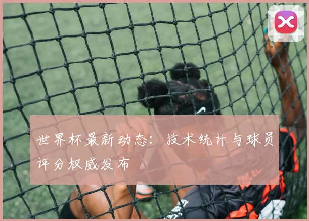 世界杯最新动态:技术统计与球员评分权威发布