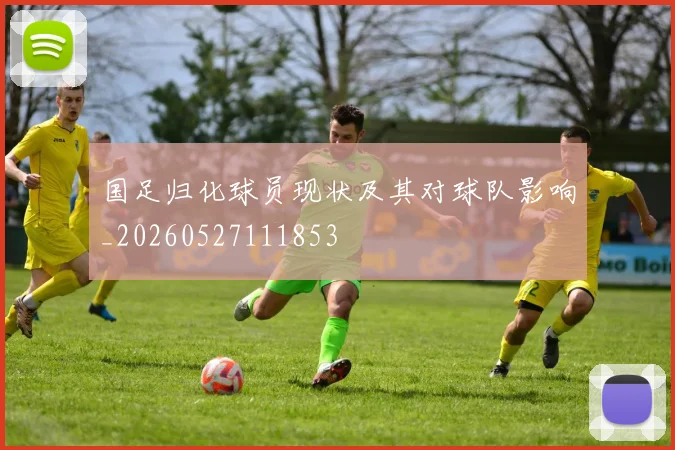 国足归化球员现状及其对球队影响_20260527111853