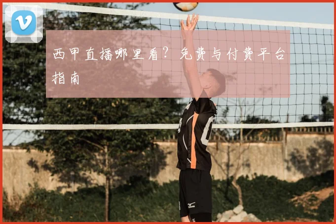 西甲直播哪里看?免费与付费平台指南